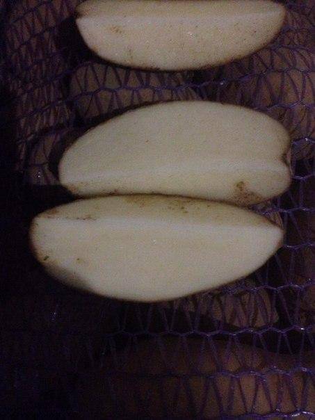 Сорт картофеля журавинка: фото, отзывы, описание, характеристики