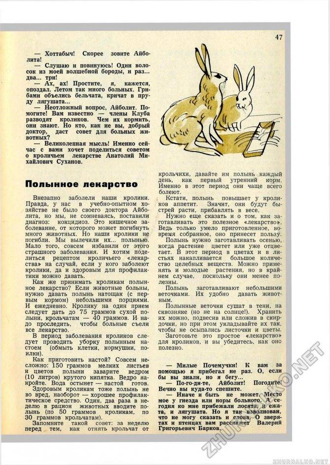 ᐉ можно ли кроликам давать лопухи? - zooon.ru