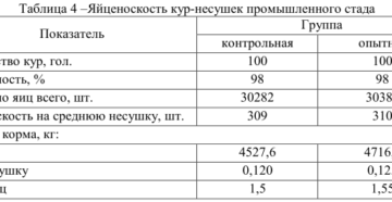 Как повысить яйценоскость домашних кур? корм и дом.