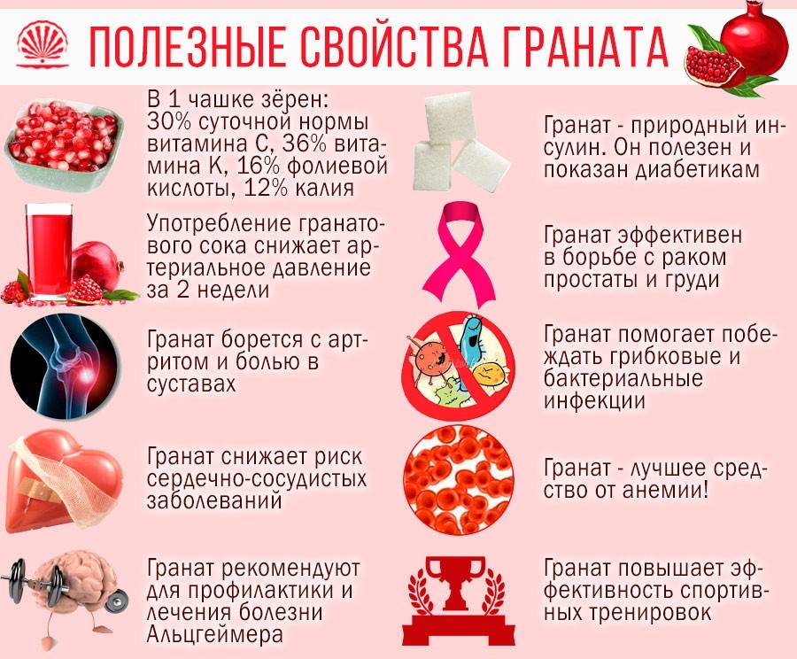 Какие фрукты можно есть при похудении и можно ли их есть вечером | официальный сайт – “славянская клиника похудения и правильного питания”