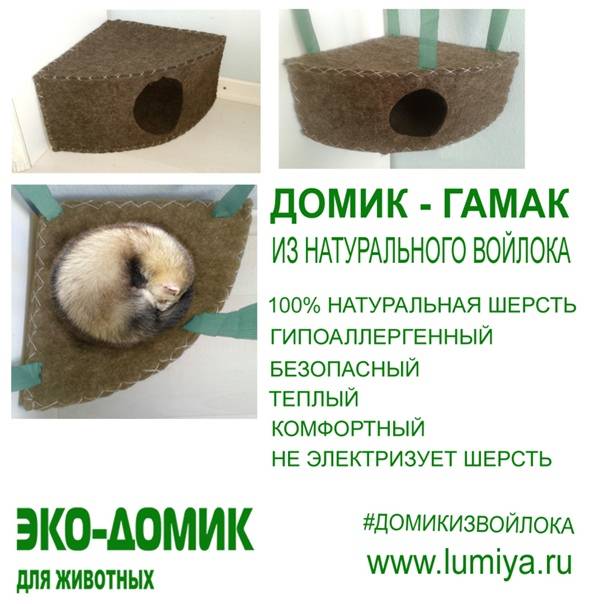 Мастер-класс: как сделать клетку для хорьков своими руками?