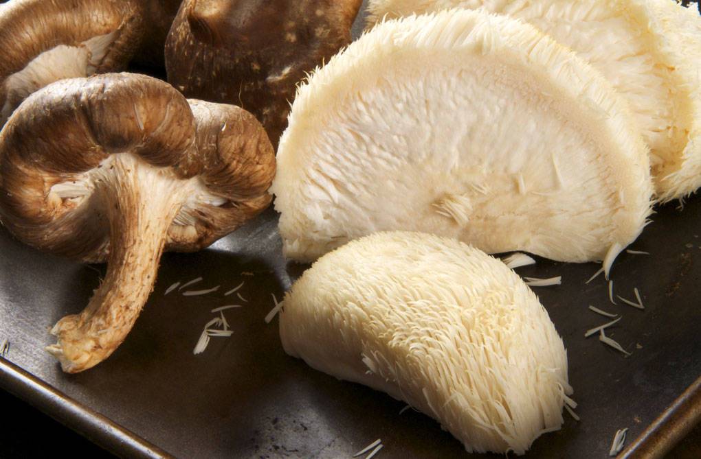Сколько варить сушеные грибы для супа и соусов?
