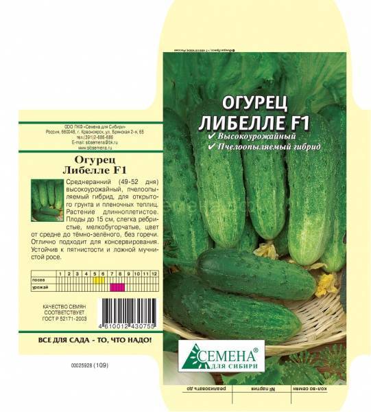 Сорт огурцов либелле ‒ полная характеристика и особенности выращивания
