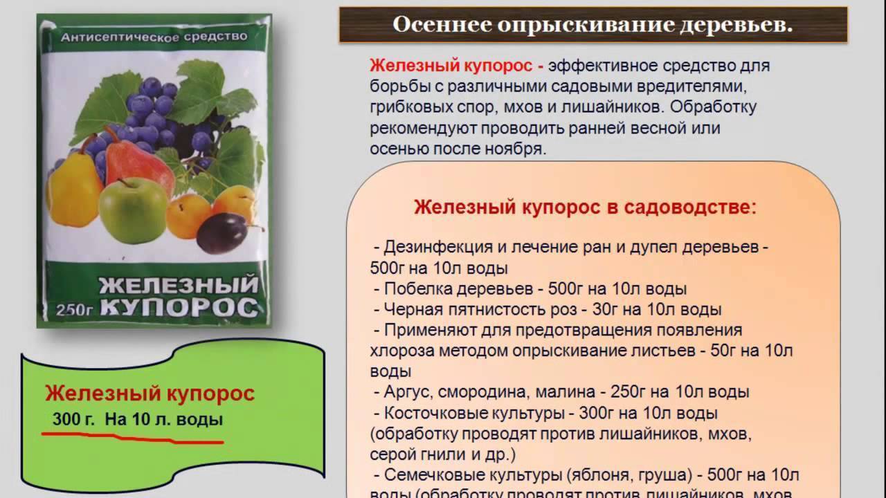 Обработка винограда медным купоросом