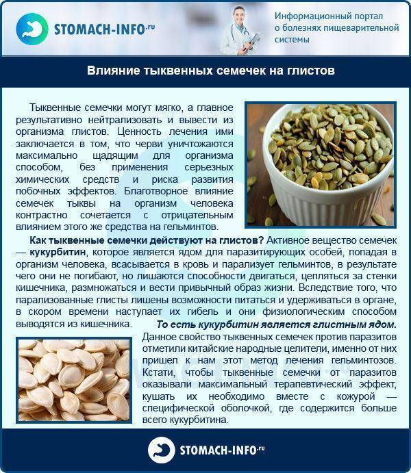 Как принимать тыквенные семечки от глистов: эффективные рецепты