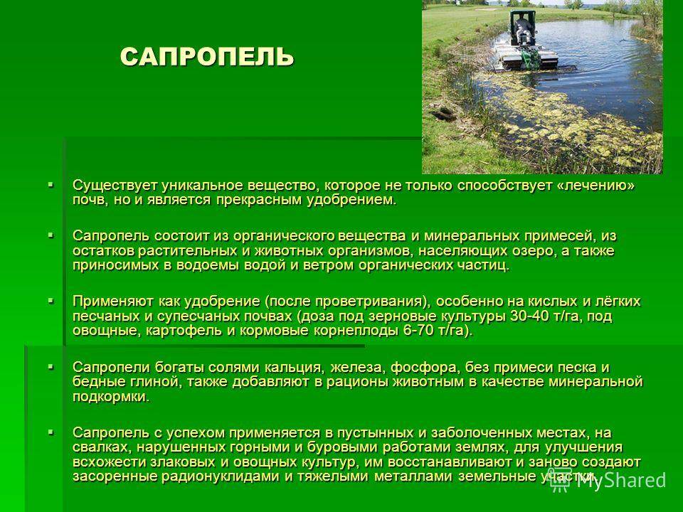 Что такое сапропель? сапропель, как органическое удобрение. что входит в состав сапропеля? способы применение озерного или болотного ила. разновидности и нормы внесения сапропеля