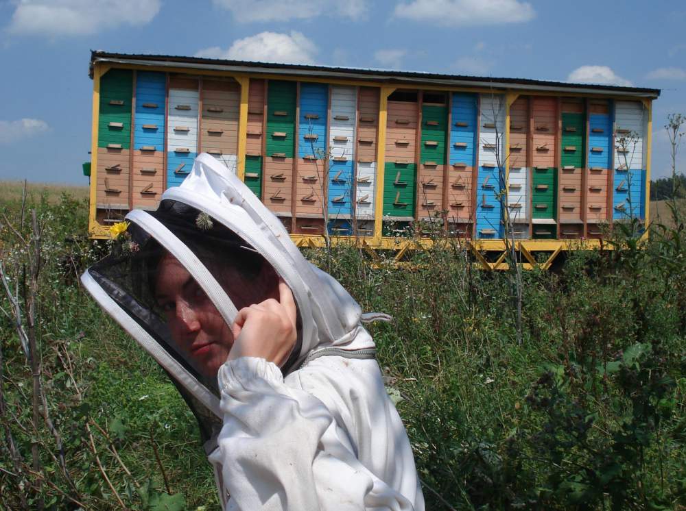 Кассетное содержание пчел:чем выгодно,как сделать павильон своими руками