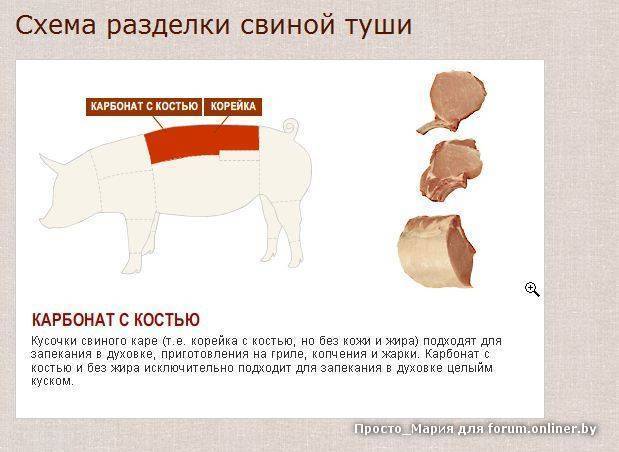 Разделка свинины: подготовка, схемы, порядок и расчет выхода мяса
