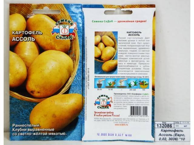Сорт картофеля «алладин» – описание и фото