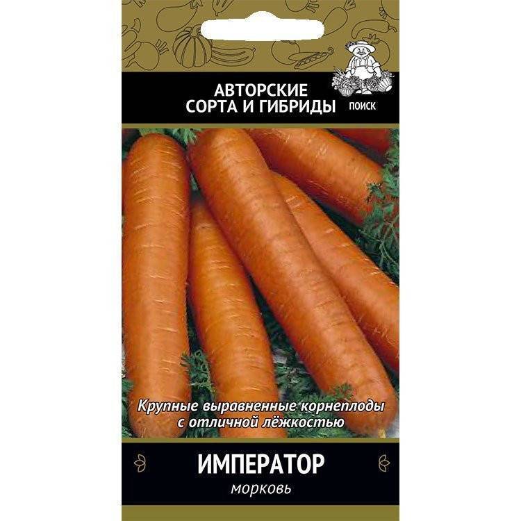 Морковь сорта император: характеристика и особенности выращивания