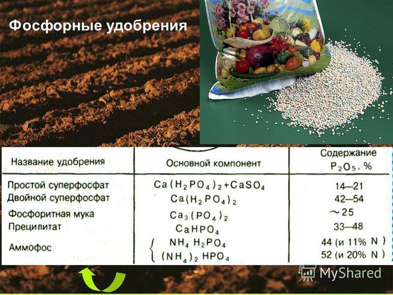 Фосфорные удобрения картинки