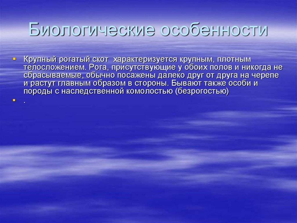Биологический особенности и физиология крс