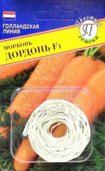 Раннеспелый, холодоустойчивый гибрид моркови дордонь