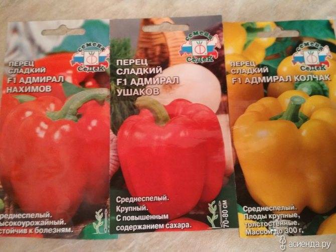 Перец адмирал нахимов: отзывы об урожайности, фото семян седек, характеристика и описание сладкого болгарского сорта