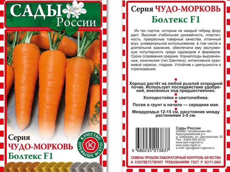 Семена моркови: лучшие сорта для открытого грунта в подмосковье, сибири, средней полосе россии