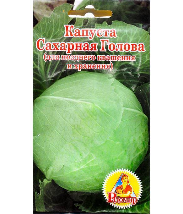 ᐉ капуста сахарная голова: описание сорта, фото и отзывы - zooon.ru