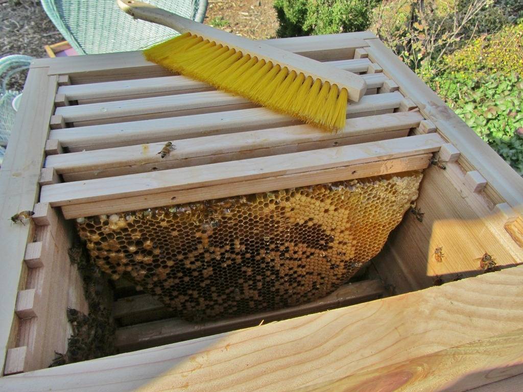 Технология содержания пчел в ульях дадана - oozoo.ru