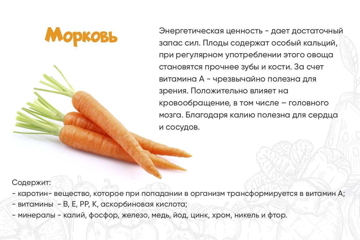Морковь: польза и вред для здоровья женщины и мужчины