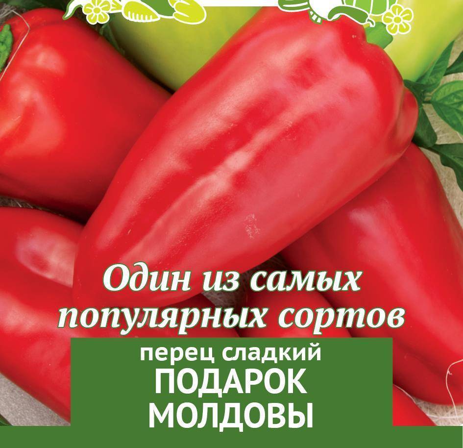 Перец подарок молдовы — описание и характеристика сорта