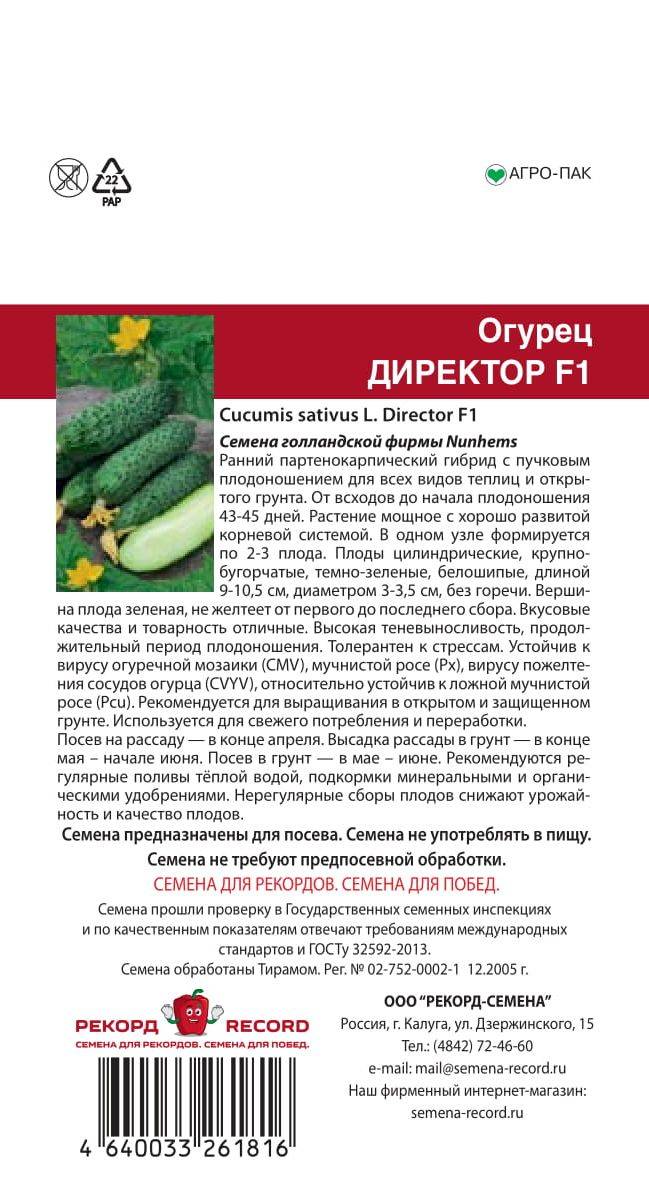 Огурец директор f1: описание сорта, посадка, уход, отзывы огородников