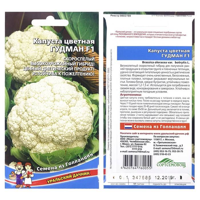 Лучшие сорта цветной капусты (фото, описание)