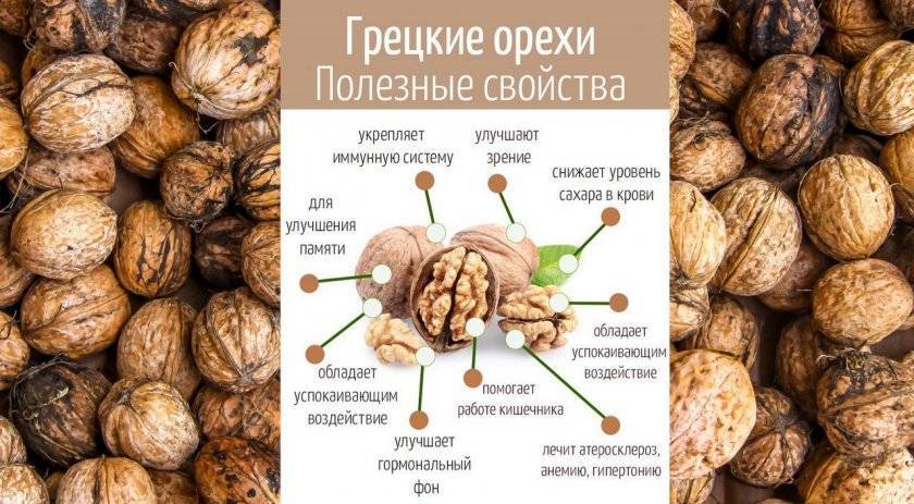 Чем полезны грецкие орехи при беременности