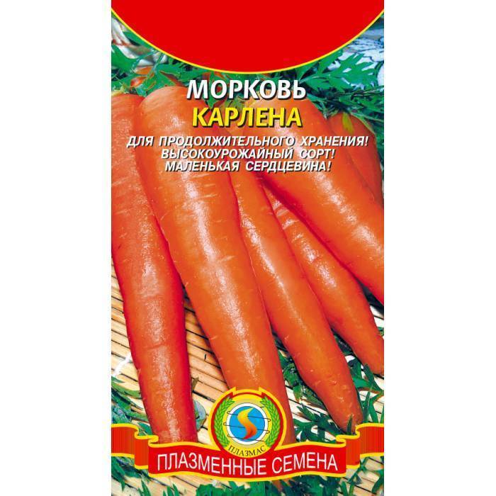 Сравниваю 10 сортов моркови!: группа практикум садовода и огородника