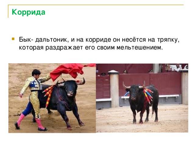 Какие цвета не различает человек при дальтонизме? - энциклопедия ochkov.net
