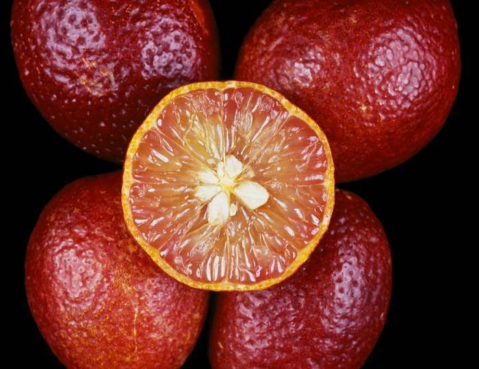 Свити фрукт: фото, как выглядит, как его едят, чем полезен?