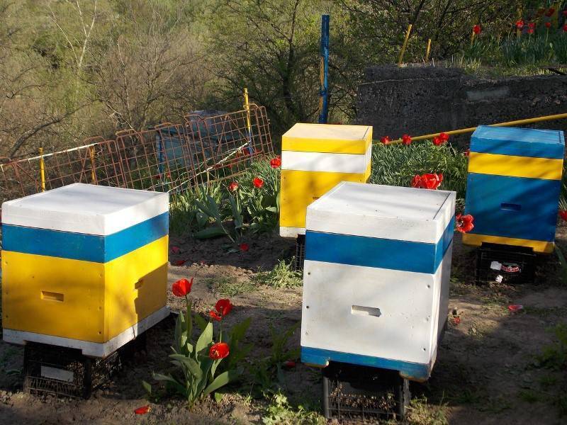 Ульи нижегородец: из ппу, отзывы пчеловодов