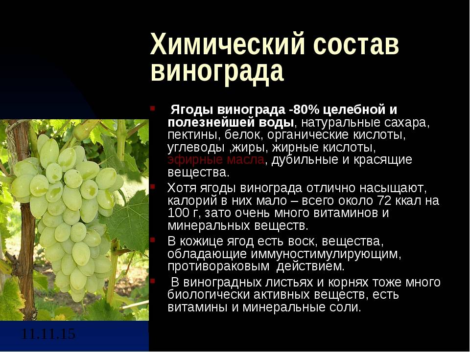 50 фото черного винограда 28 лучших сортов ранних, поздних, среднеспелых с названием и описанием