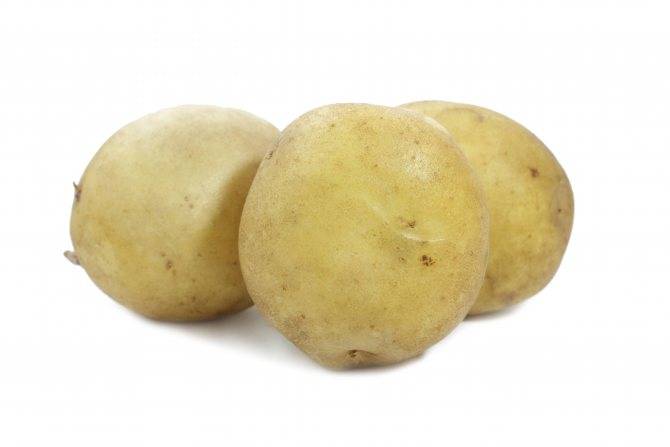 Сорта картофеля: рекомендуем попробовать