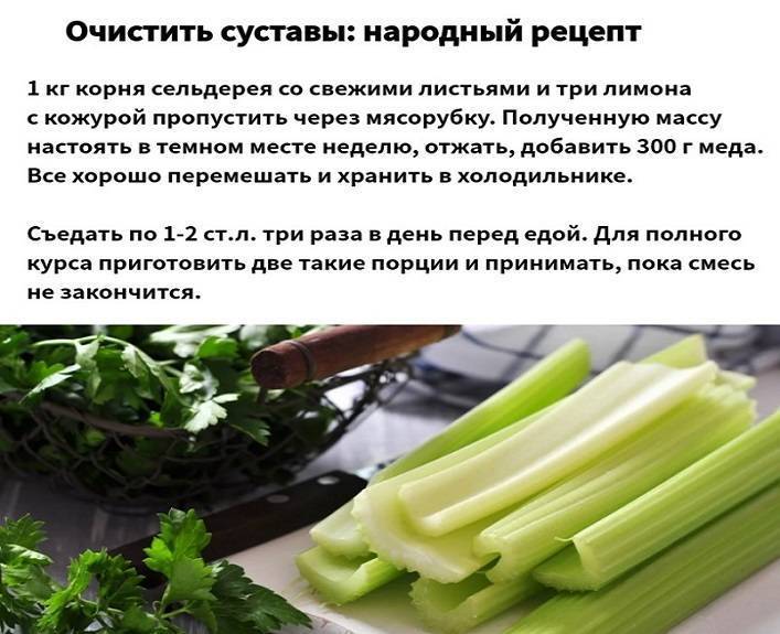 Как есть сельдерей, чтобы похудеть: отзывы и рецепты блюд — allslim.ru