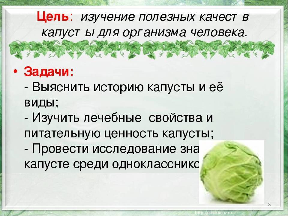 В чем польза капусты для волос