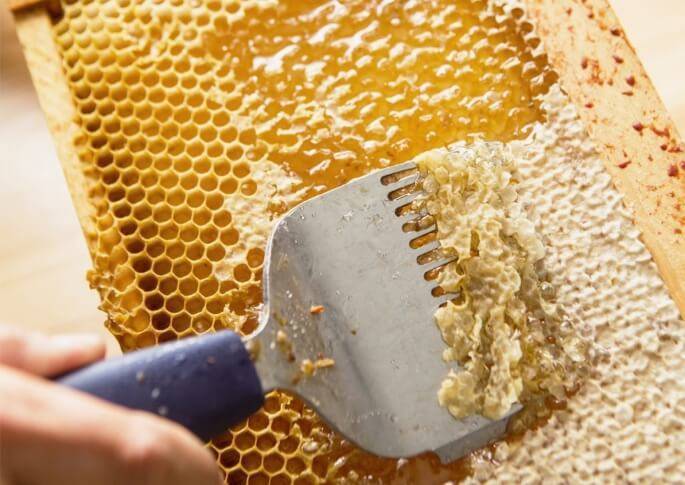Что такое пчелиный забрус, польза и вред продукта