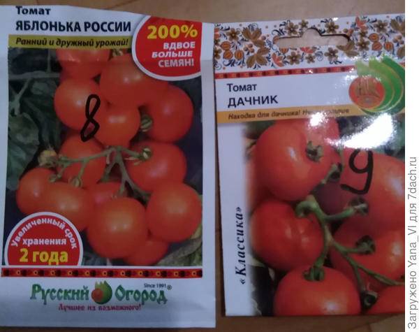 Яблонька россии: обильный урожай при минимальном уходе. описание универсального томата и советы по культивации