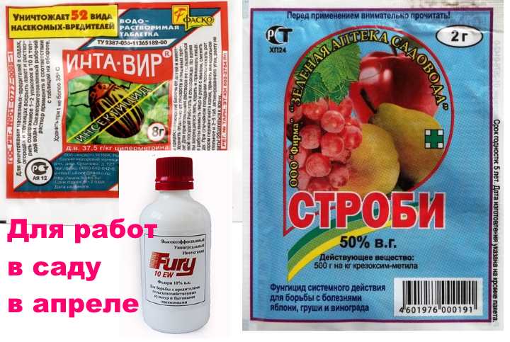 Фунгицид строби: инструкция по применению, аналоги препарата, состав, форма выпуска