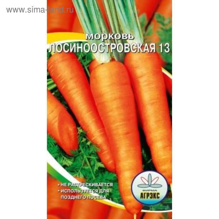 Морковь лосиноостровская 13: описание сорта, особенности выращивания