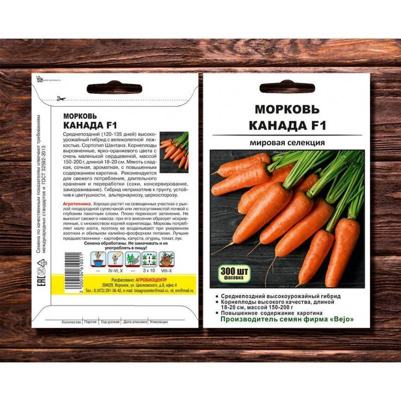 Морковь канада f1: характеристика и описание гибридного сорта с фото