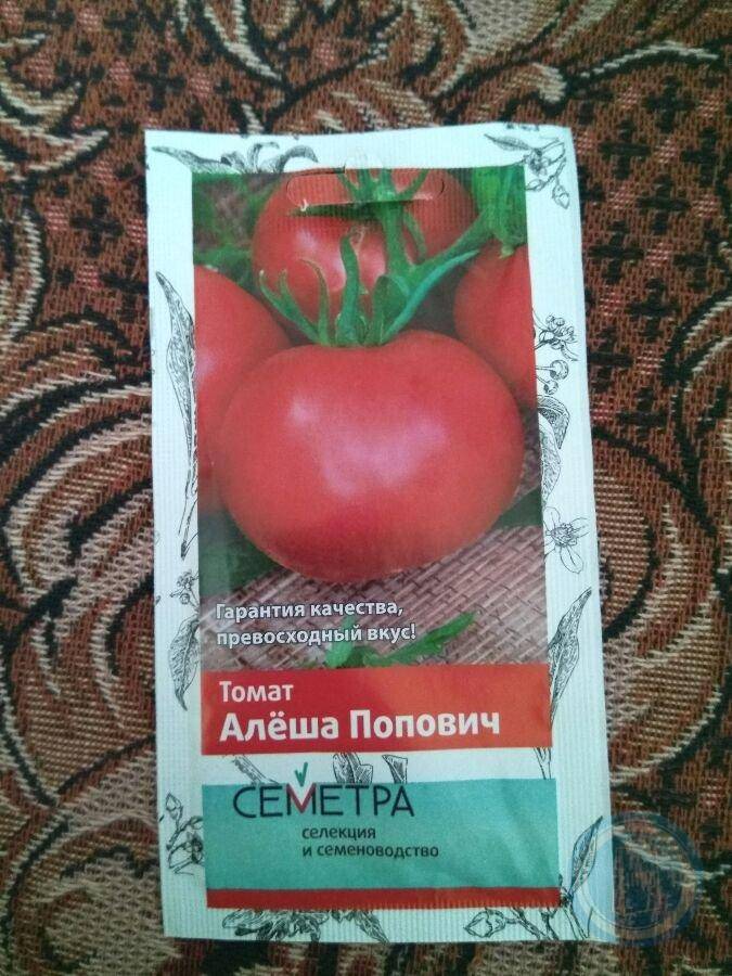 Сорт помидоров алеша попович