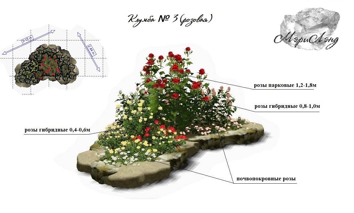 Как сделать розарий своими руками - пошаговая инструкция - сад и клумба