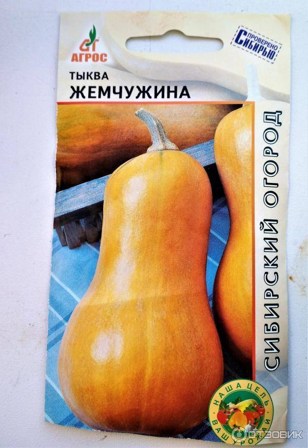 Мускатная тыква: сорта, фото, описание, отзывы, выращивание в открытом грунте