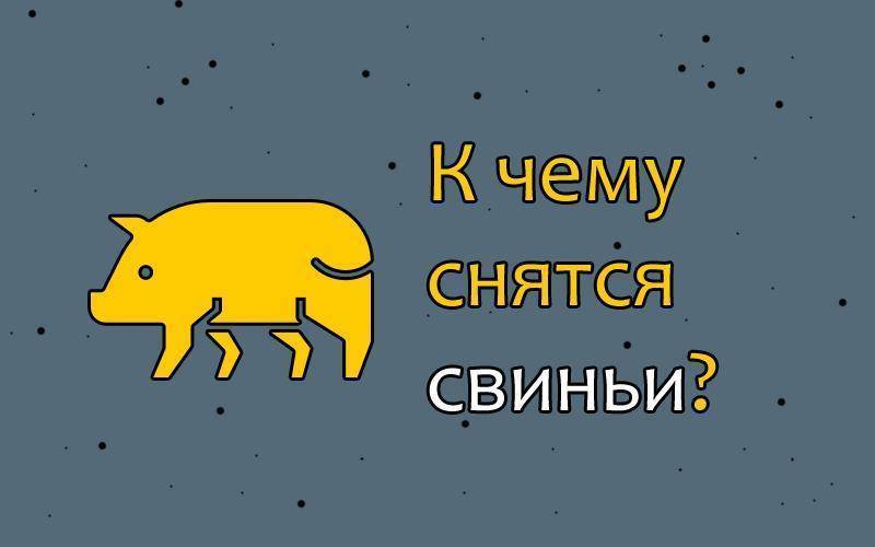 К чему снится свинья – простое и понятное толкование снов с хрюшами – клуб любителей хрюш