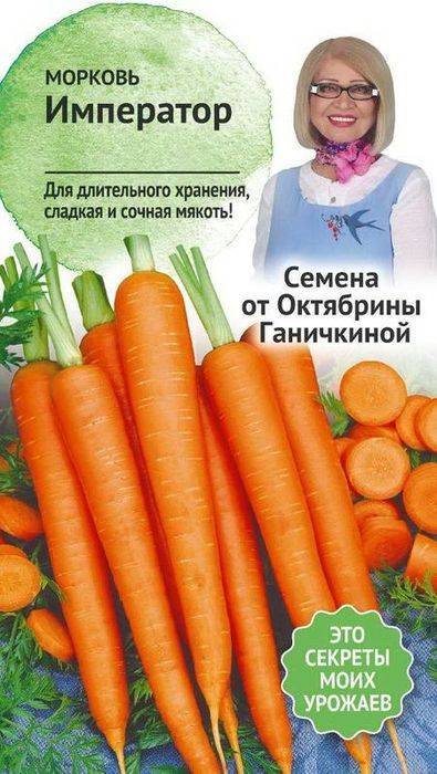Морковь император: описание сорта и характеристики