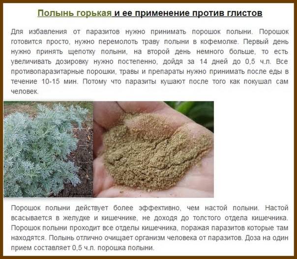 Полынь гвоздика и пижма схема