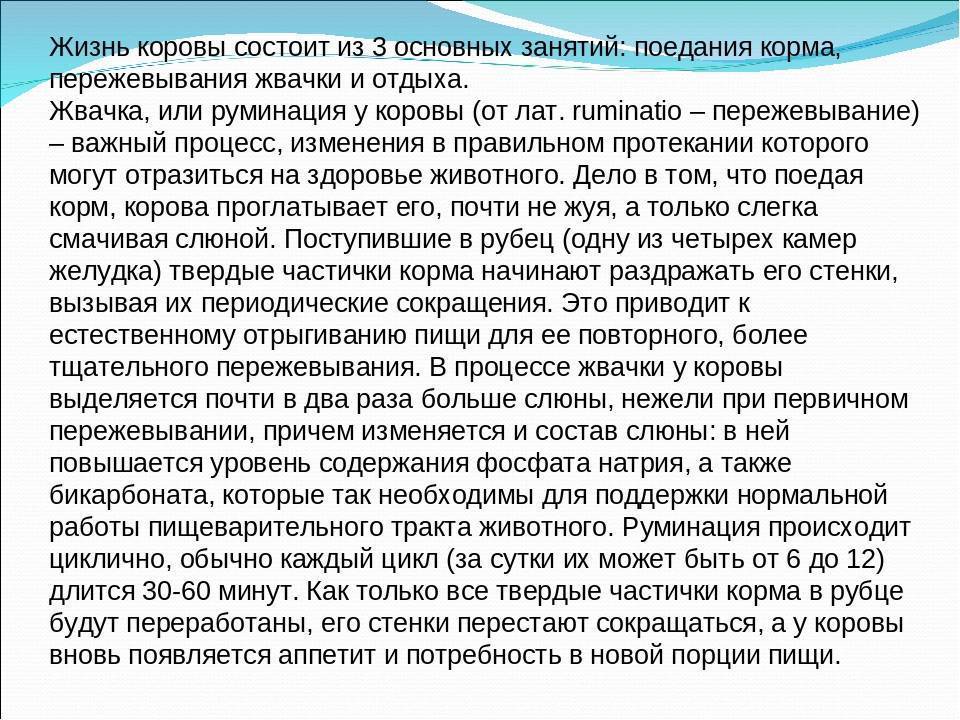 Вызвать жвачного. Жвачка у коровы. Норма руминации у КРС. Руминация у коров. Жевательные движения у коров.