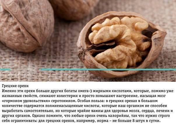 Грецкие орехи: полезные свойства и советы экспертов