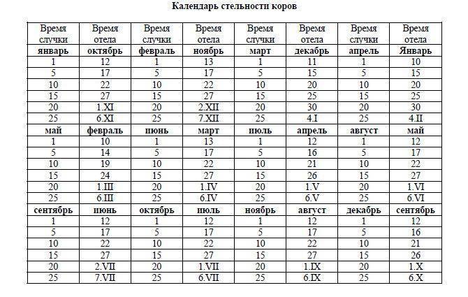Разведение крс | от каждой коровы — по теленку в год