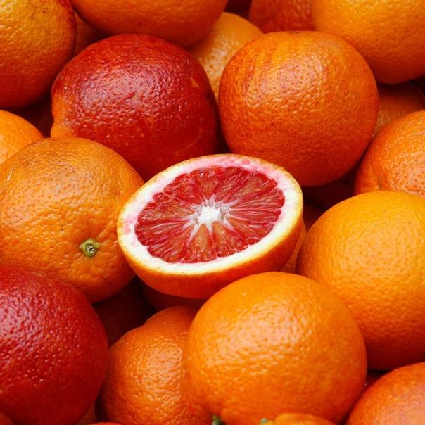 Красный апельсин: описание сорта, особенности, польза