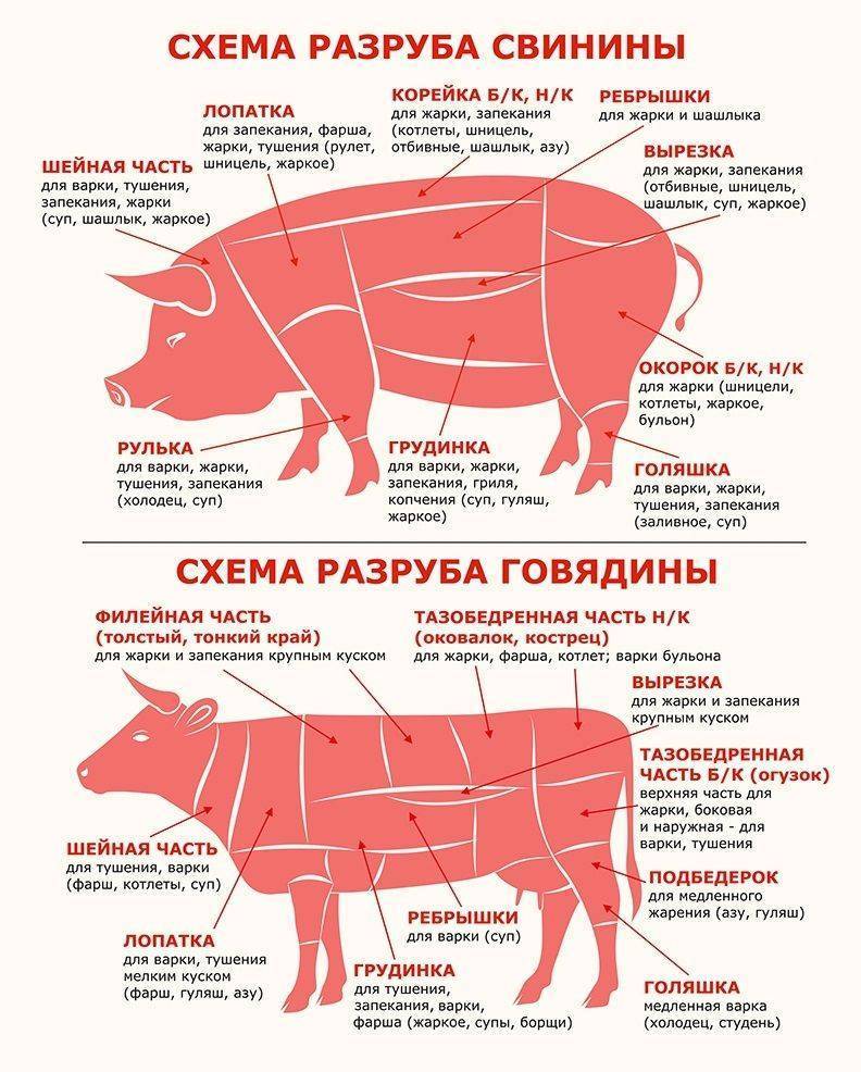 Свиная вырезка - описание, состав, калорийность и пищевая ценность